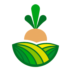 BOR SEKER