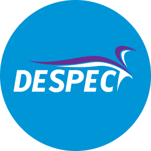 DESPEC BILGISAYAR